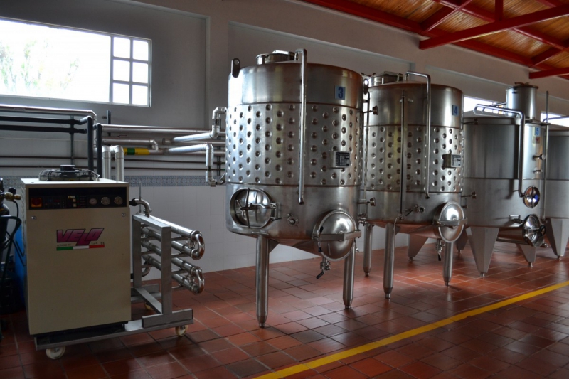 cave-PEILLON-min_wine_production_cantine_winery_drink_alcohol_vine_beverage-902036